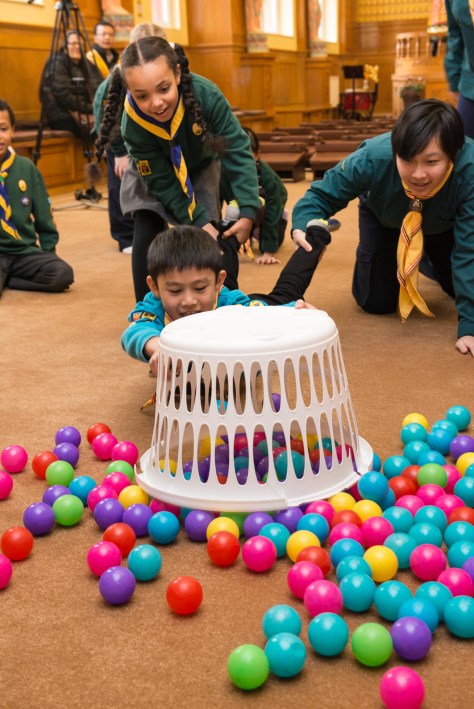 beavers-and-cub-human-hungry-hippos-jpg